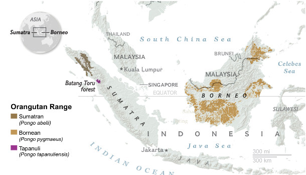 Sumber: National Geographic