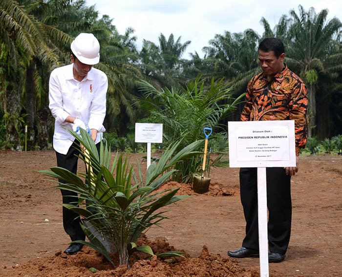 Presiden Joko widodo saat meresmikan Program Peremajaan Sawit Rakyat di Desa Kota Tengah, Kecamatan Dolok Masihul, Kabupaten Serdang Bedagai