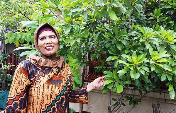 Pahlawan Lingkungan Asri Hardini