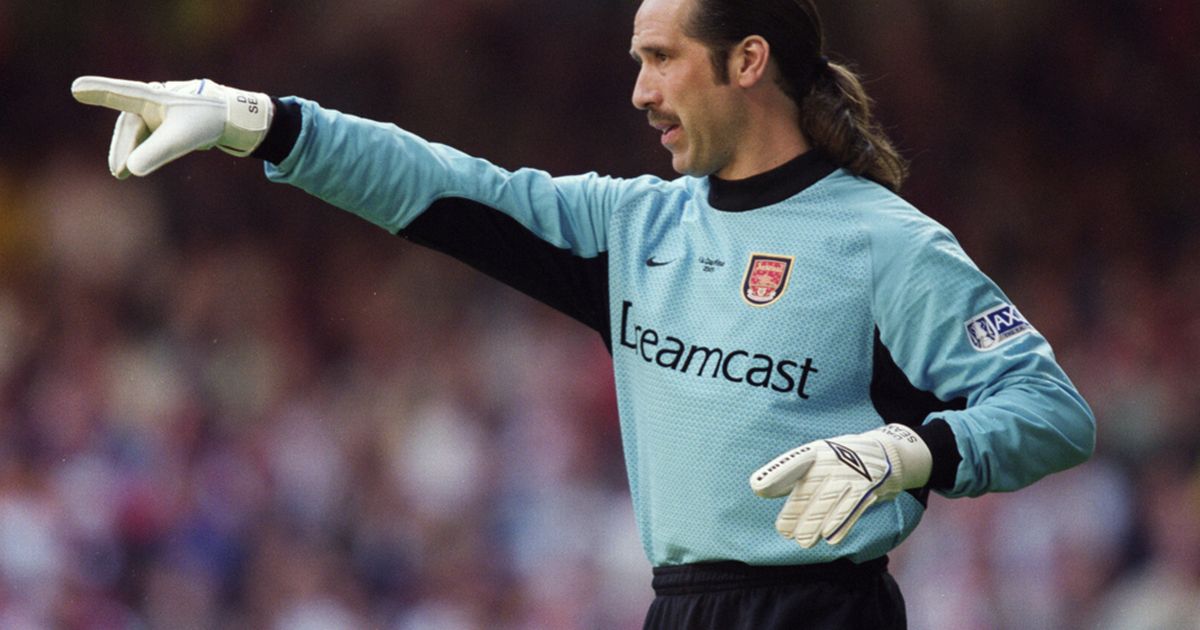 David-Seaman