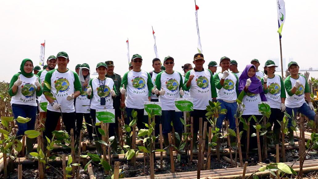 Penanaman Mangrove di Muara Angke 