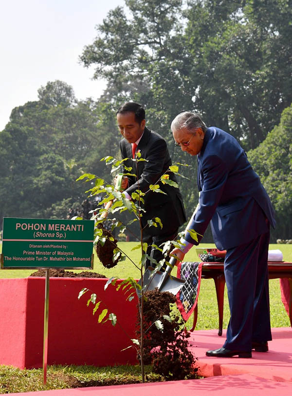 Presiden Jokowi dan PM Mahathir Mohamad menanam pohon bersama