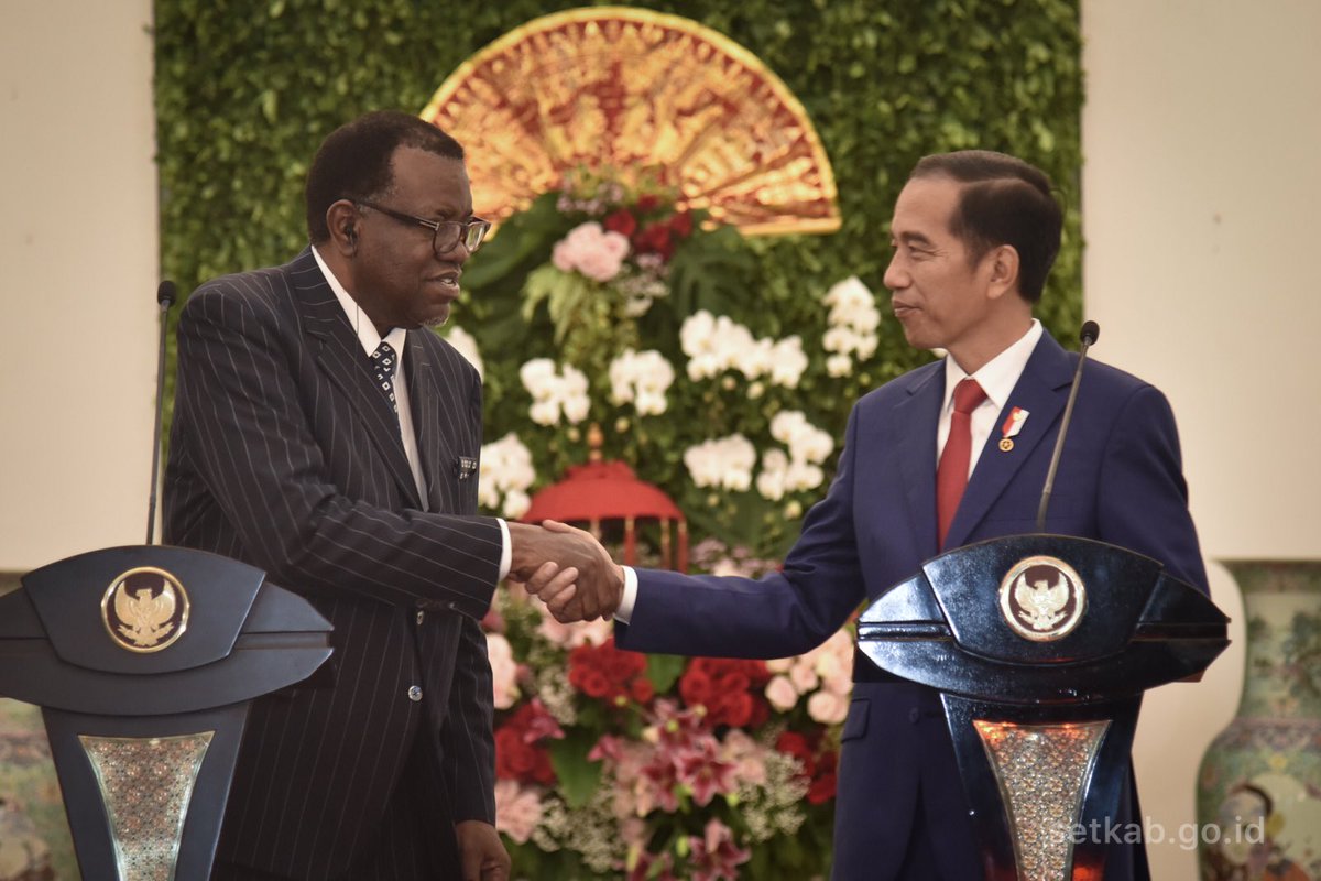 Presiden Jokowi dan Presiden Namibia