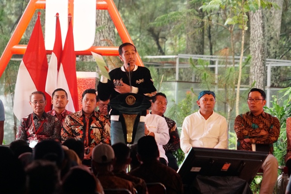 Presiden bagikan SK Izin Pemanfaatan Hutan yang bisa dimaksimalkan untuk program perhutanan sosial